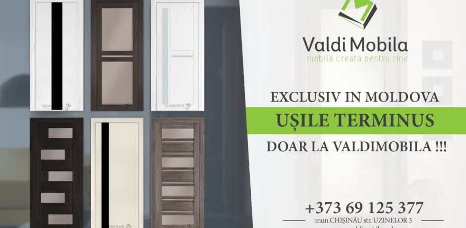 Двери Терминус по супер цене от Valdimobila - эксклюзивный дистрибьютор