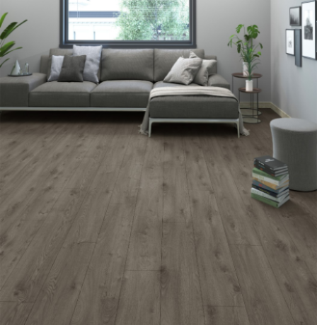 Laminat Effect Premium AGT PRK 901 12 mm clas 33-2