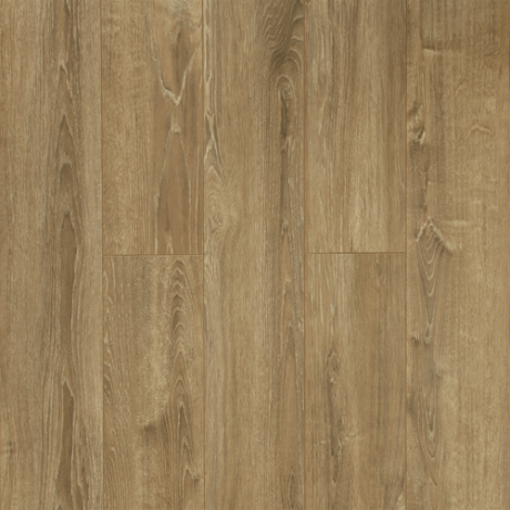 Laminat Solid Plus 622 12mm clas 33-1