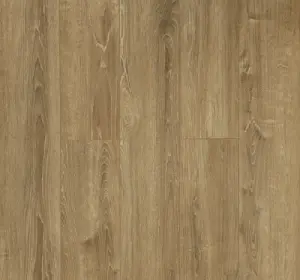 Laminat Solid Plus 622 12mm clas 33
