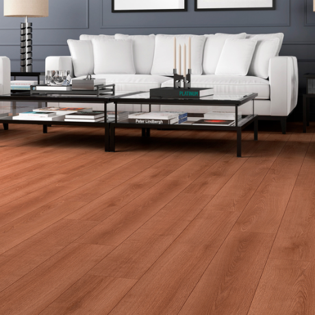 Laminat Camsan Platinum Albero Oak 2103 10 mm clas 32-2