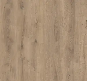 Laminat Camsan Silver Sakarya Oak 5002 8 mm clas 31