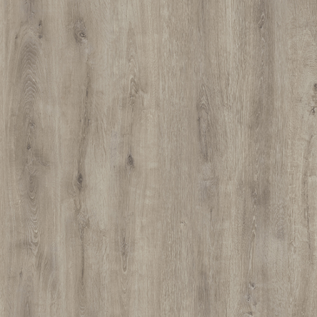 Laminat Camsan Silver Acar Oak 5004 8mm clas 31-1