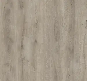 Laminat Camsan Silver Acar Oak 5004 8mm clas 31