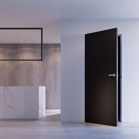 Ușă ascunsă de interior Danapris Doors-1