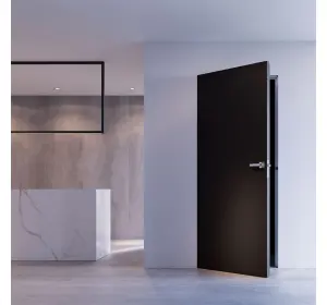 Ușă ascunsă de interior Danapris Doors