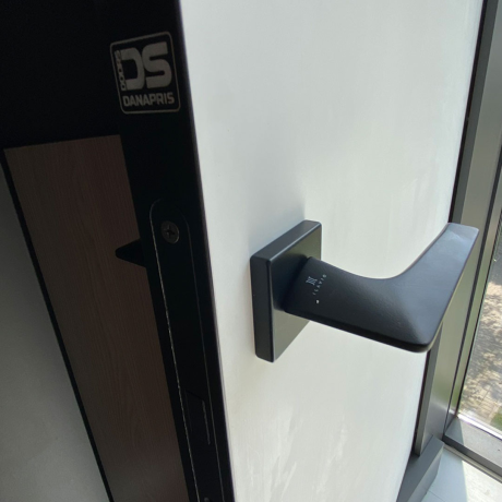 Ușă ascunsă de interior Danapris Doors-5