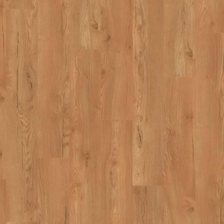 Laminat Egger PL 2856 Olchon Oak Honey 12mm clas 33-1